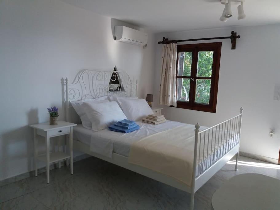 Grandpa Simos' Traditional Guest House Agios Romanos Екстер'єр фото