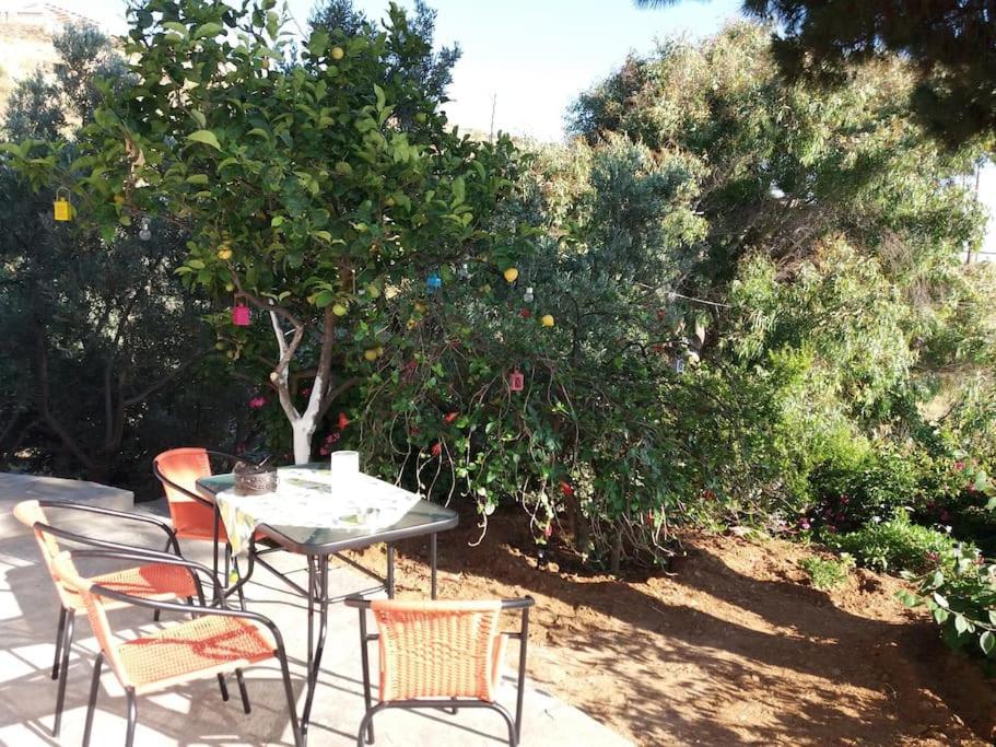 Grandpa Simos' Traditional Guest House Agios Romanos Екстер'єр фото