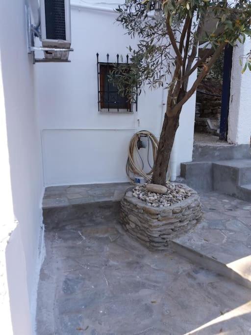 Grandpa Simos' Traditional Guest House Agios Romanos Екстер'єр фото