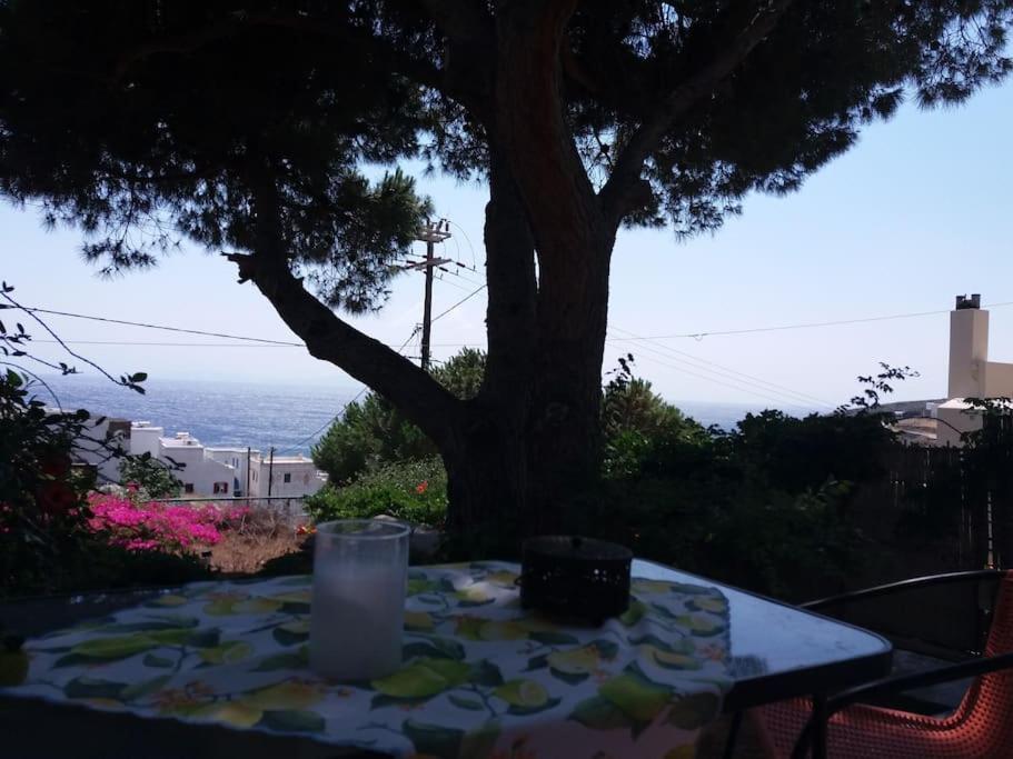 Grandpa Simos' Traditional Guest House Agios Romanos Екстер'єр фото