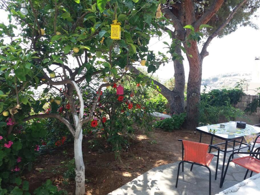 Grandpa Simos' Traditional Guest House Agios Romanos Екстер'єр фото