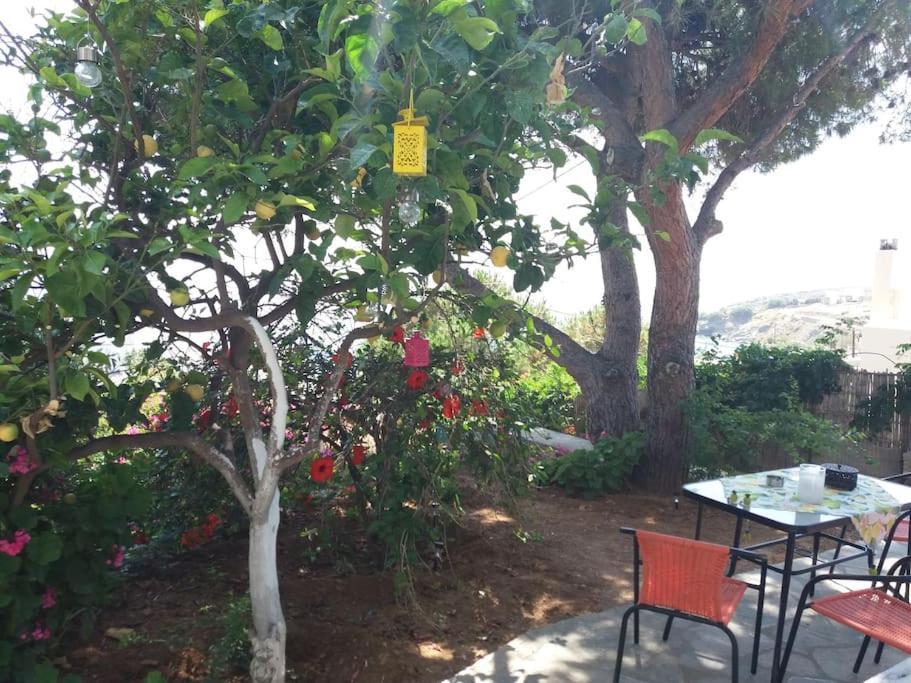 Grandpa Simos' Traditional Guest House Agios Romanos Екстер'єр фото