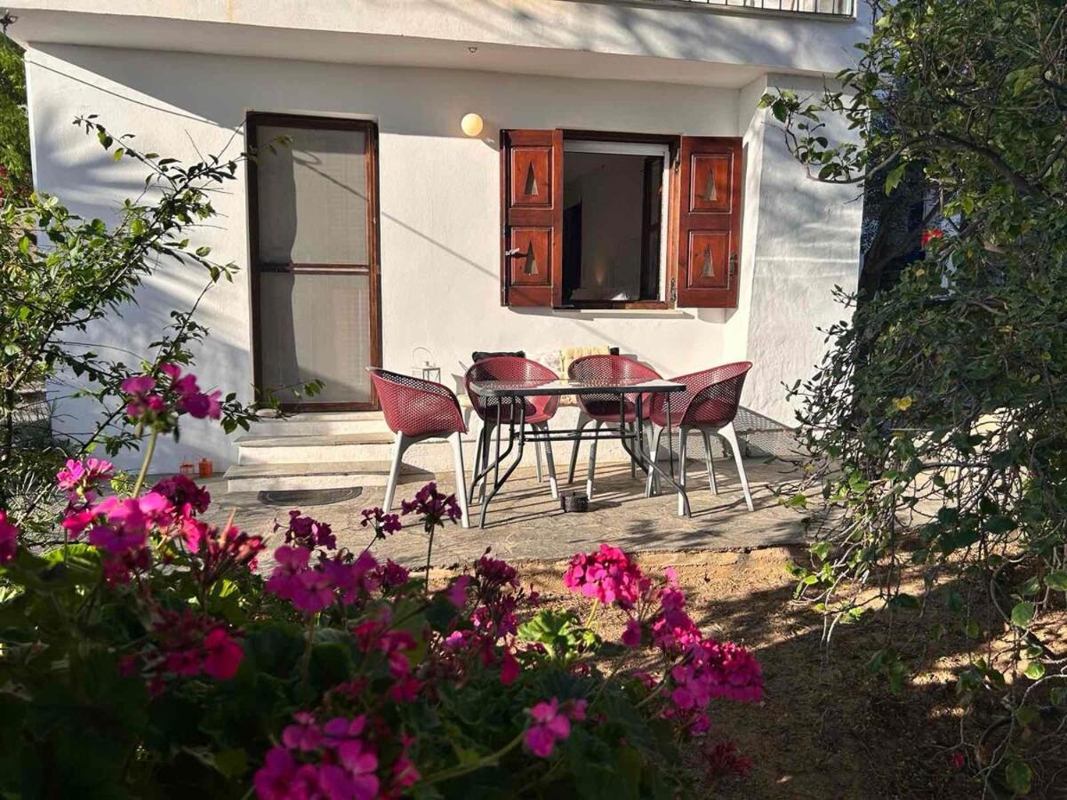 Grandpa Simos' Traditional Guest House Agios Romanos Екстер'єр фото