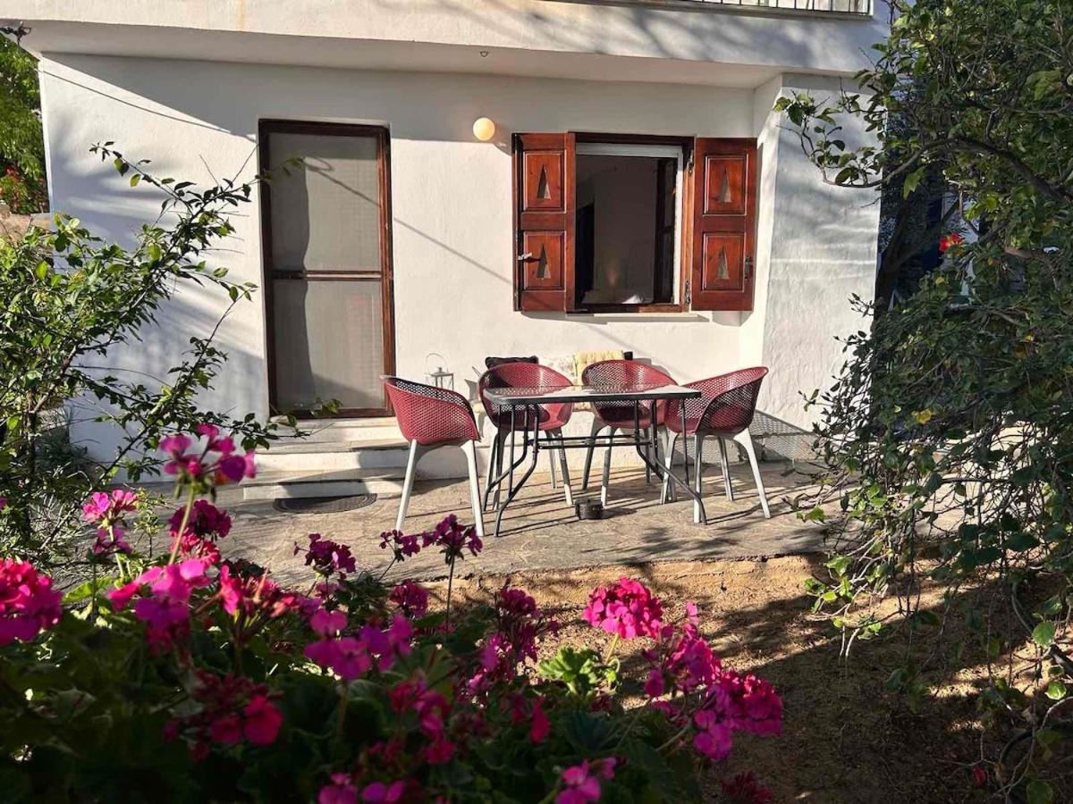 Grandpa Simos' Traditional Guest House Agios Romanos Екстер'єр фото