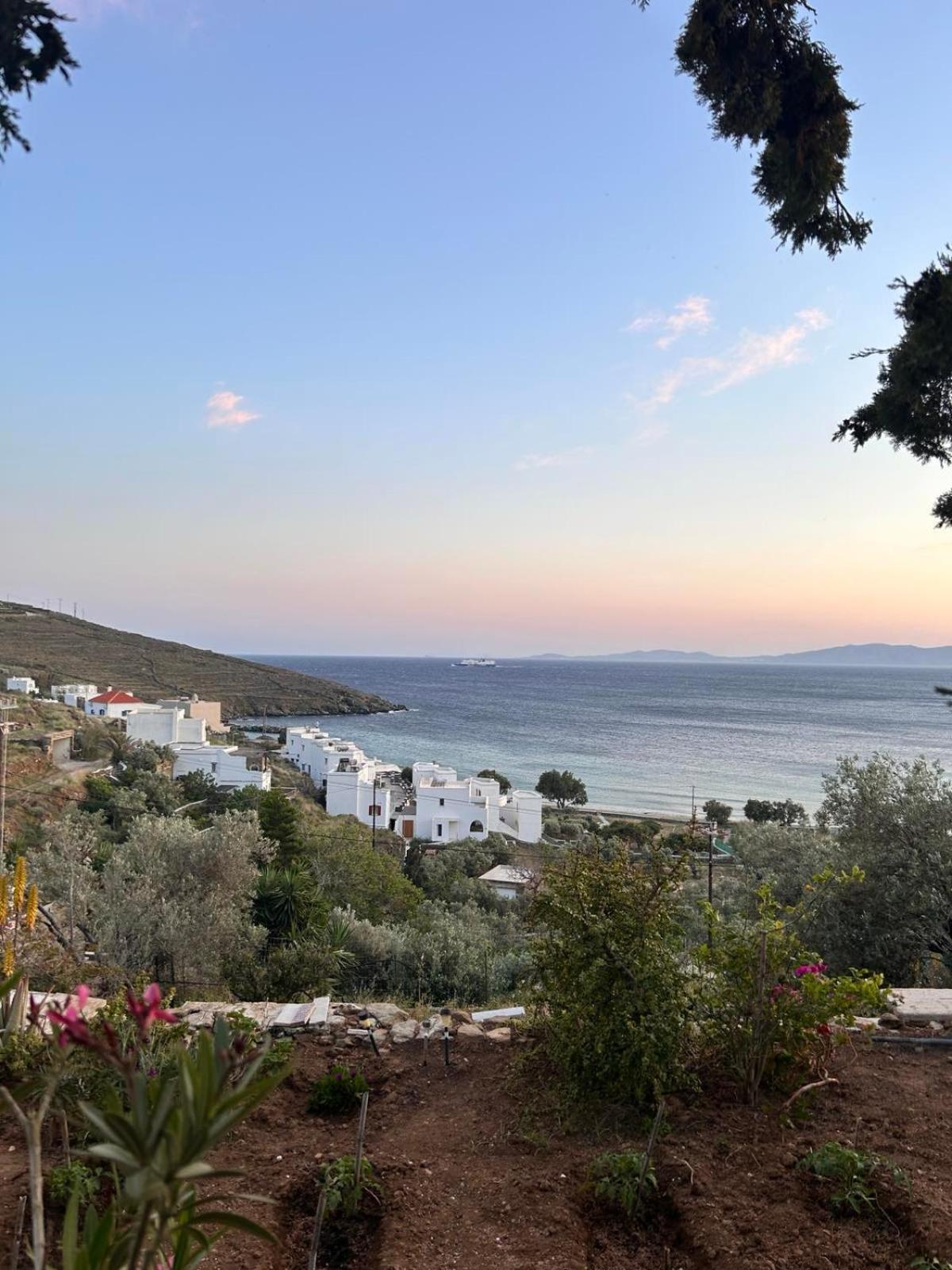 Grandpa Simos' Traditional Guest House Agios Romanos Екстер'єр фото