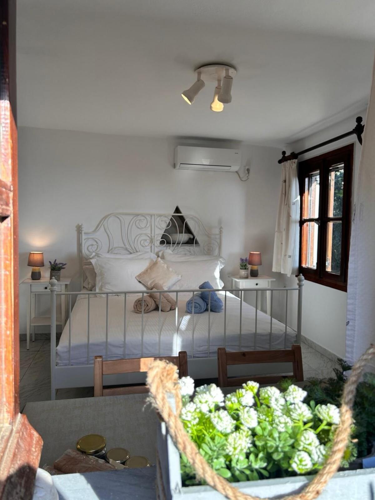 Grandpa Simos' Traditional Guest House Agios Romanos Екстер'єр фото
