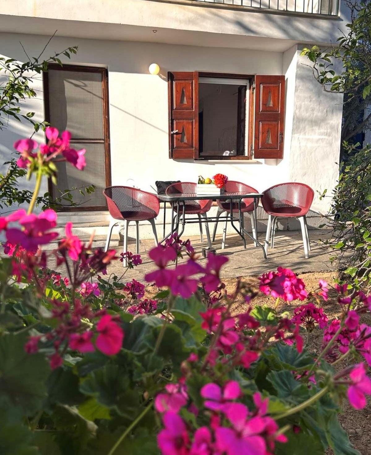 Grandpa Simos' Traditional Guest House Agios Romanos Екстер'єр фото
