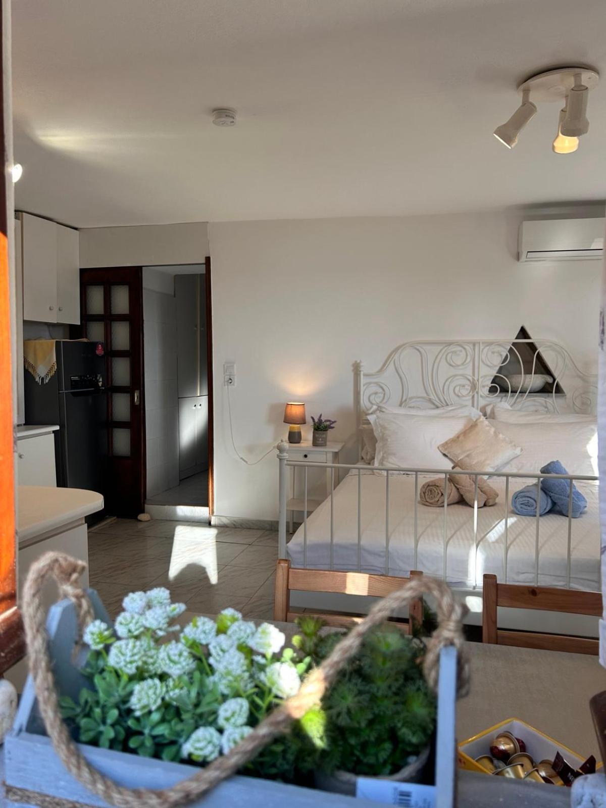 Grandpa Simos' Traditional Guest House Agios Romanos Екстер'єр фото