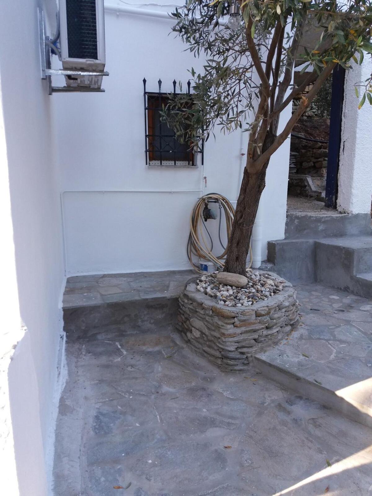 Grandpa Simos' Traditional Guest House Agios Romanos Екстер'єр фото