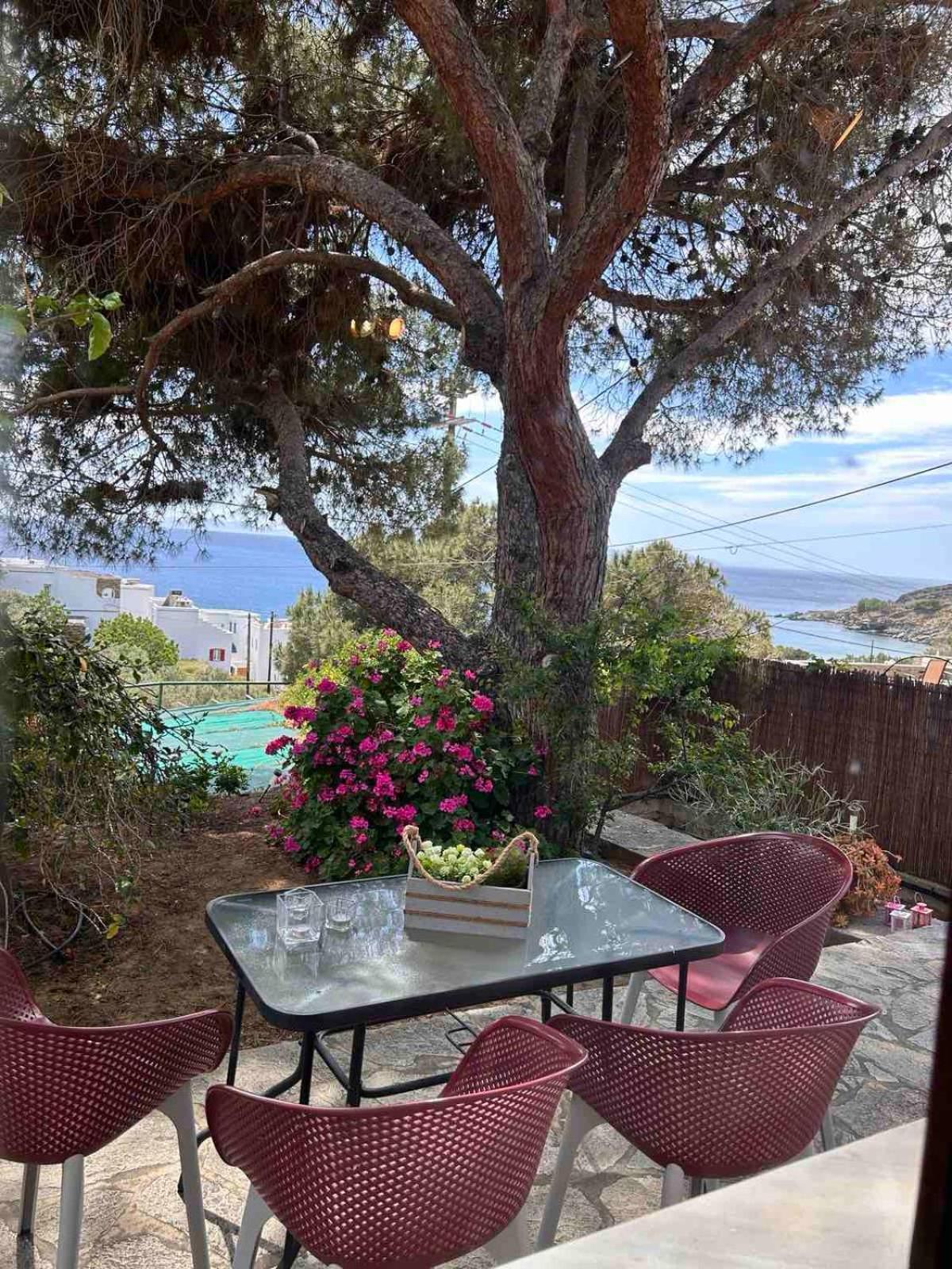 Grandpa Simos' Traditional Guest House Agios Romanos Екстер'єр фото